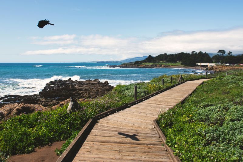 Cambria, CA
