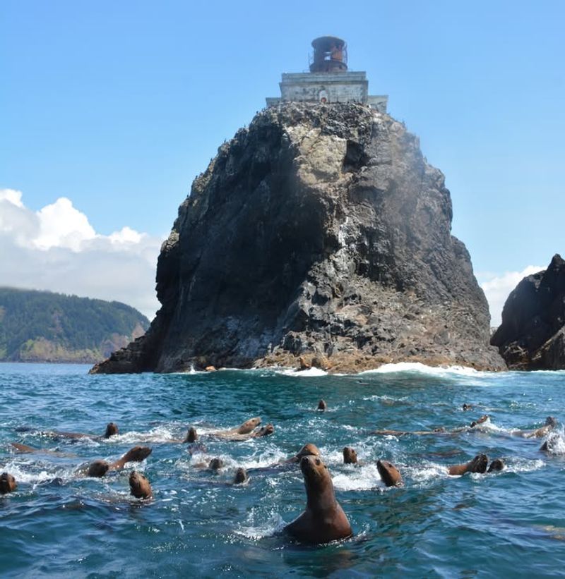 Seaside Aquarium & Turnaround – Seaside, OR