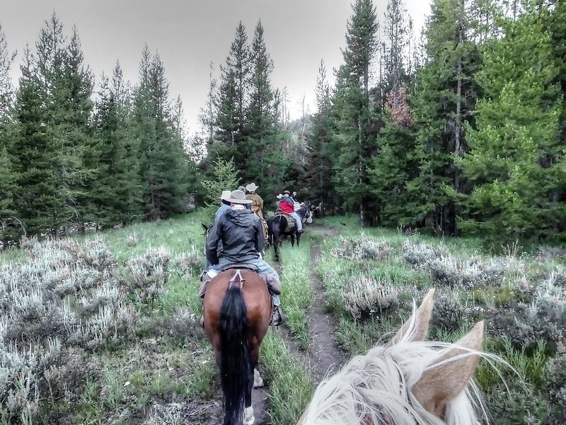 Horseback Riding in Montana's Big Sky Country