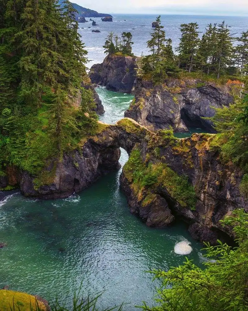 Samuel H. Boardman State Scenic Corridor
