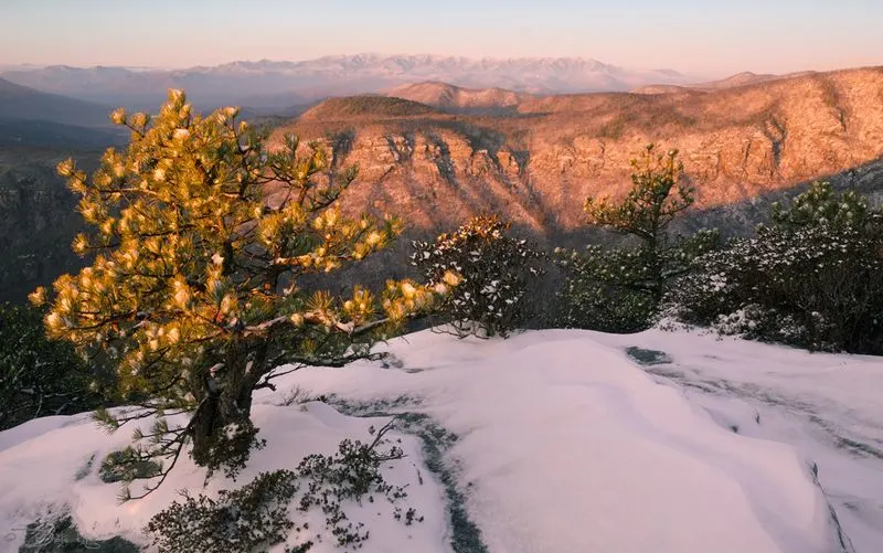 Explore Linville Gorge