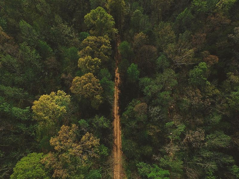 Ozark National Forest, Arkansas