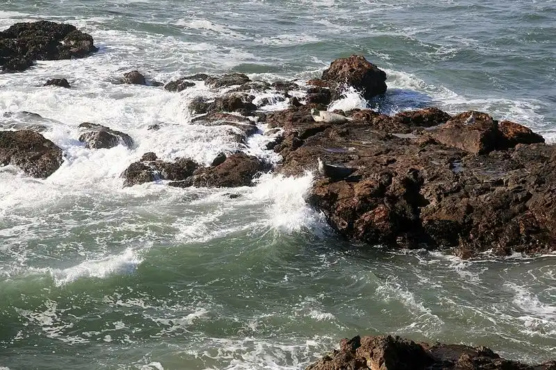 Pescadero, California