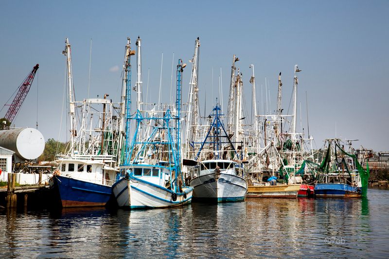 Port Aransas / Rockport, Texas — Gulf Fishing and Sandbars