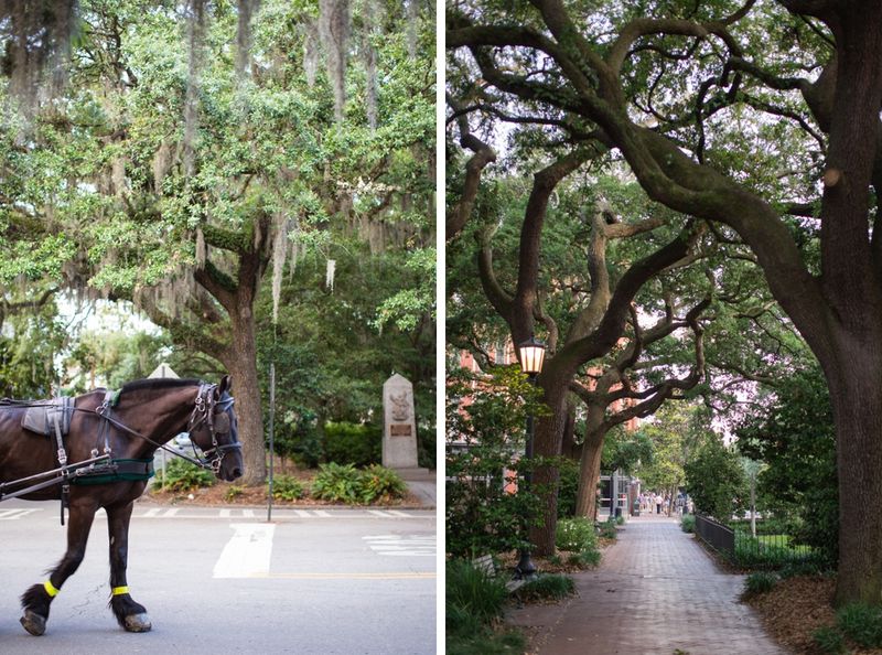 Savannah, GA