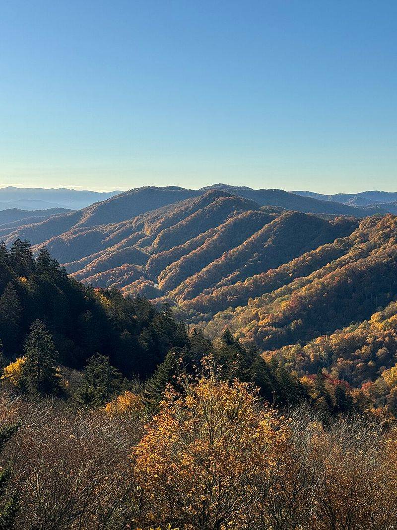 Newfound Gap