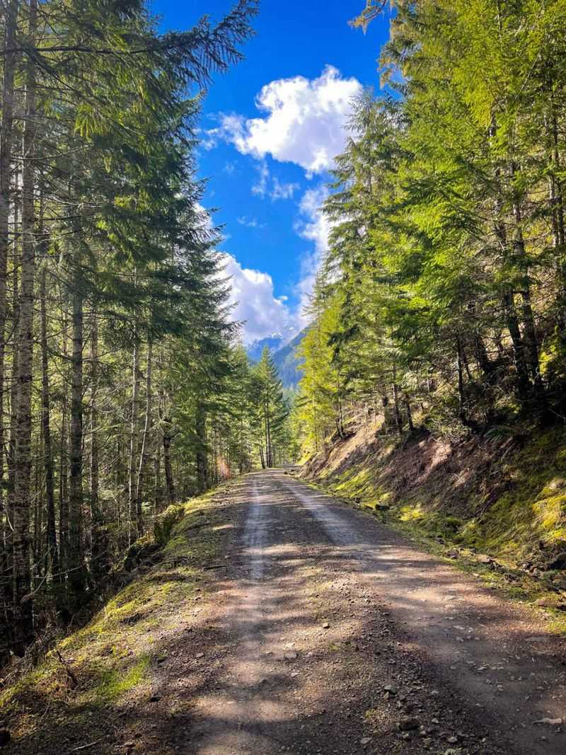 Forest Walks and Nearby Trailheads