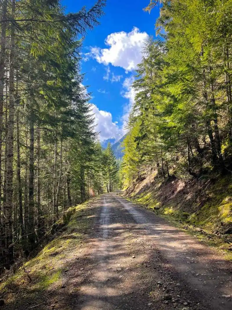 Forest Walks and Nearby Trailheads