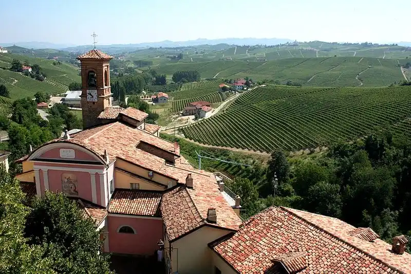 Barolo