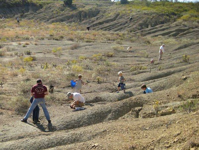 Mineral Wells Fossil Park
