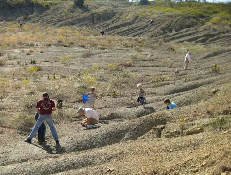Mineral Wells Fossil Park