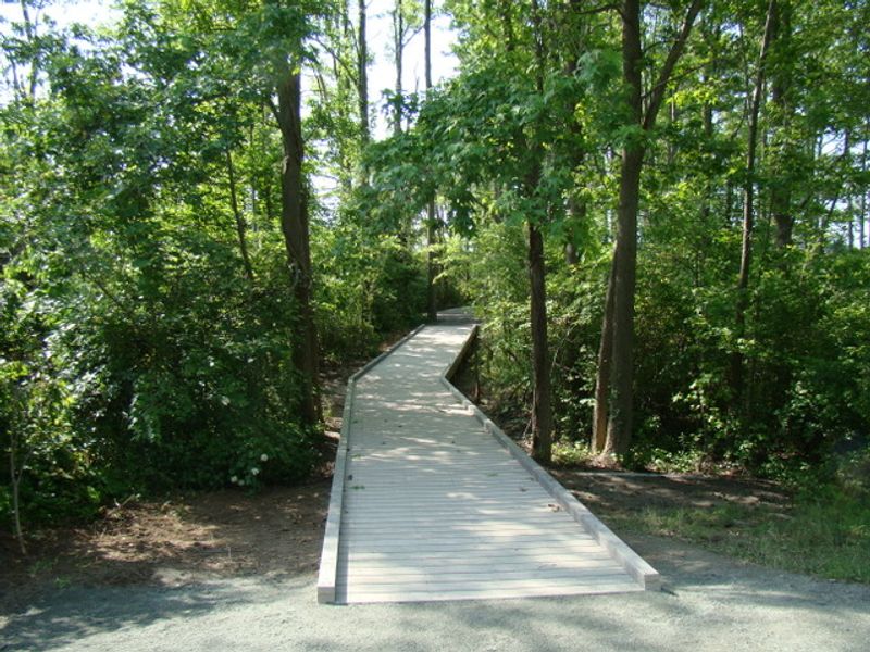 Delaware – Bombay Hook National Wildlife Refuge