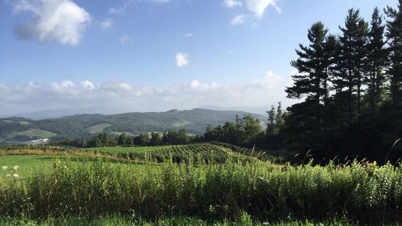 Blue Ridge Mountains, North Carolina