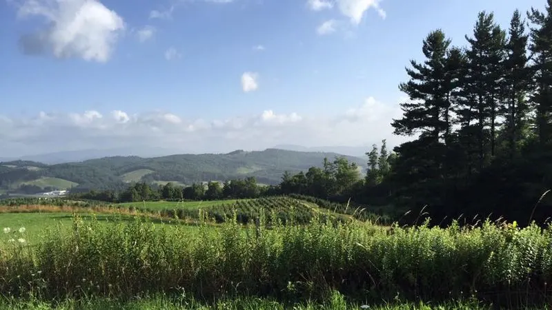 Blue Ridge Mountains, North Carolina