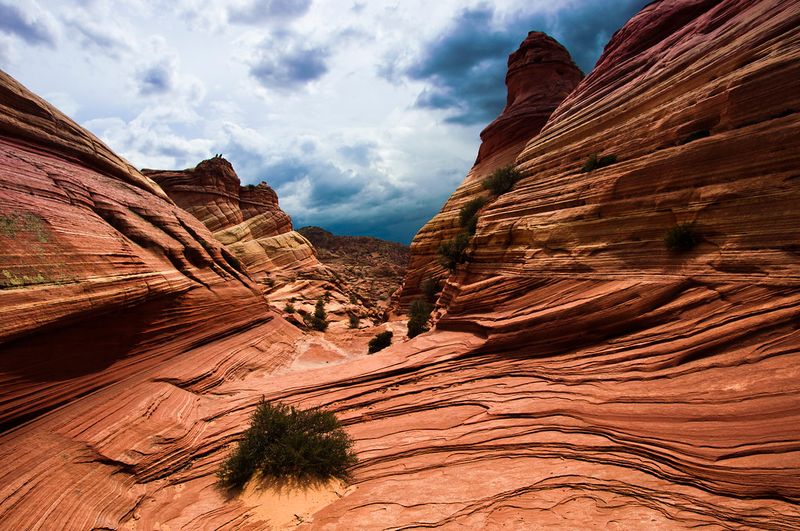 Coyote Buttes / The Wave, Arizona–Utah