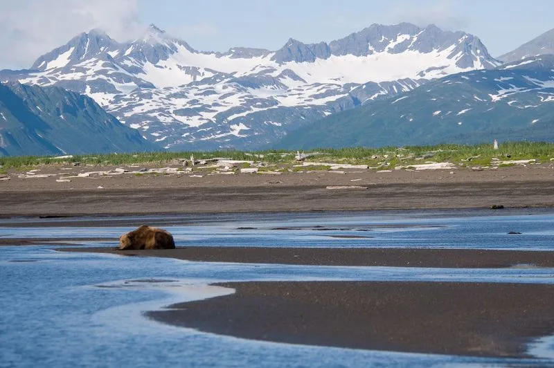 Katmai National Park (Alaska)