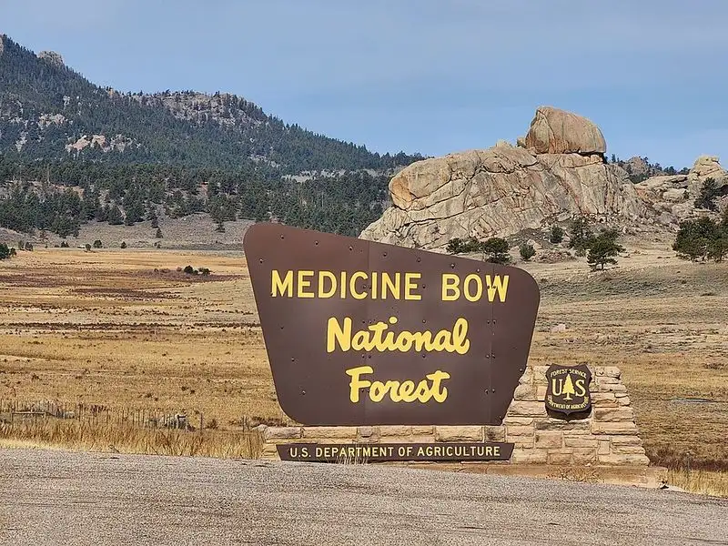 Medicine Bow National Forest