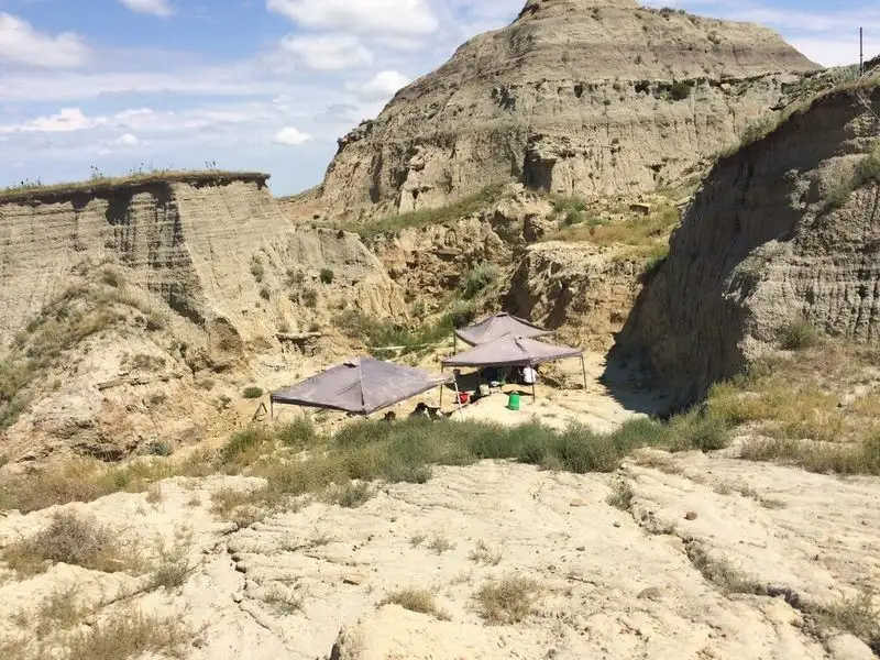 Guided Fossil Tours