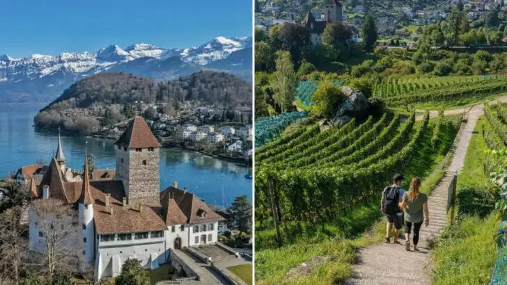 Discover a Peaceful Lakeside Village in Switzerland Surrounded by Vineyards and Hills (Spiez, Switzerland)