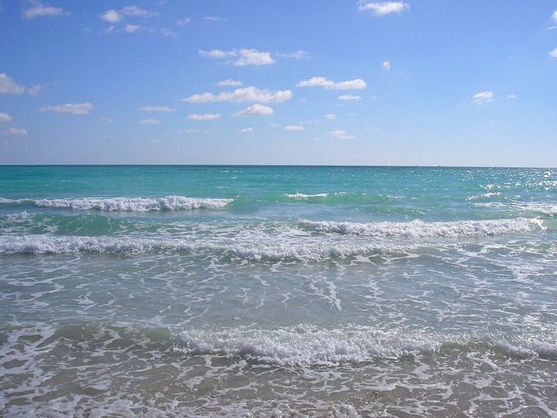 Always Respect the Ocean and Marine Life