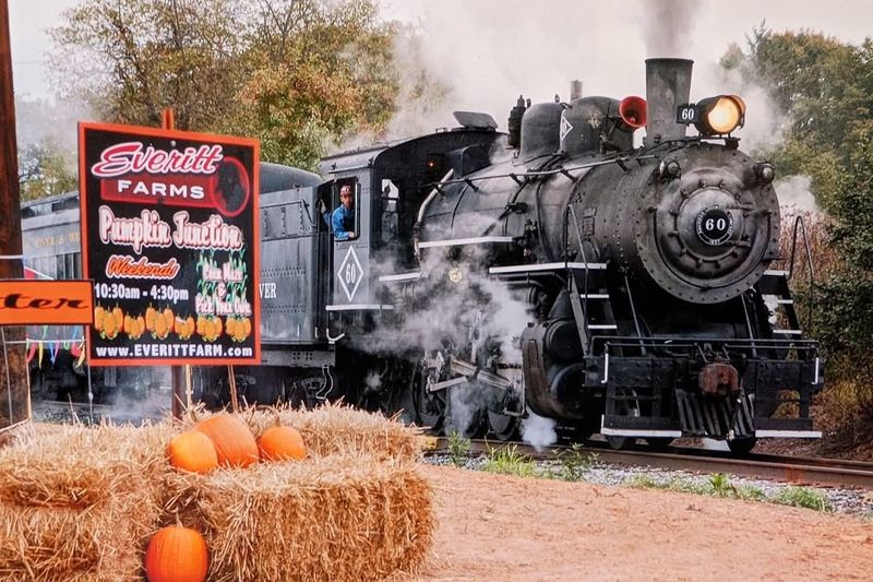 Black River Railroad (Pumpkin Train) — Hunterdon County, New Jersey area