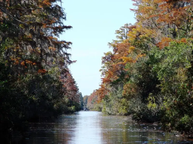 Okefenokee Swamp, Georgia