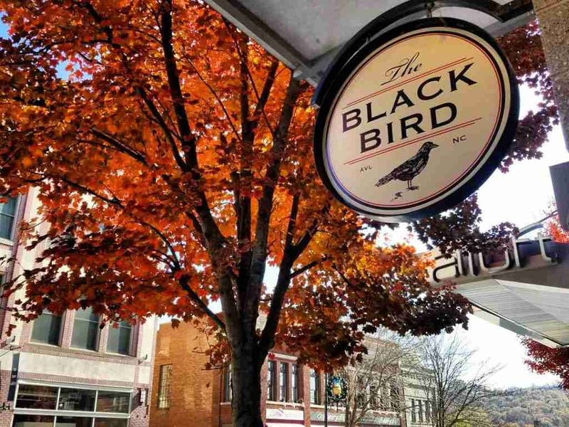 The Blackbird – Asheville