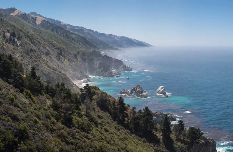 Lush Forest Meets Rugged Coastline