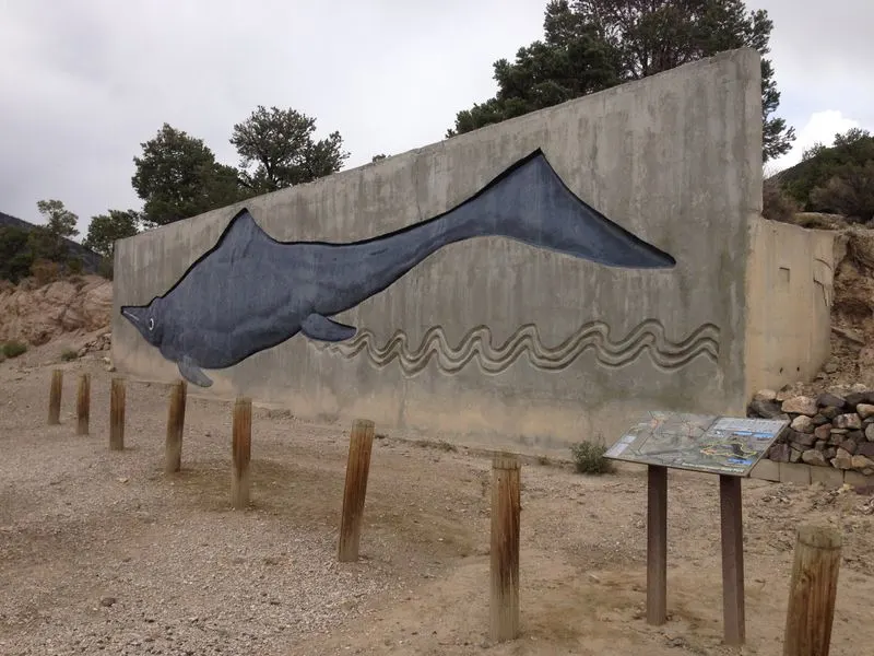 Berlin’s Fossil Wonders