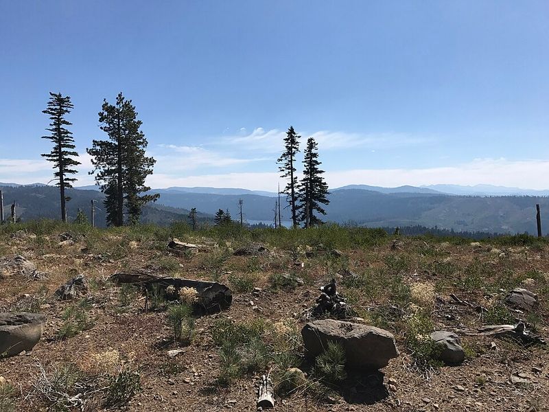 Tahoe National Forest, California