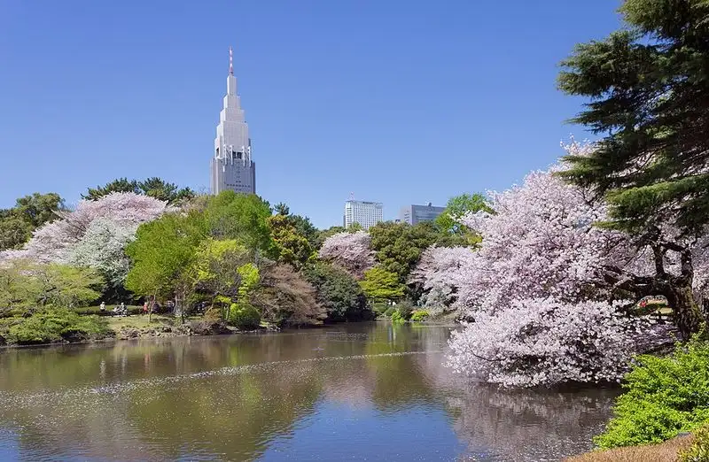 Stroll Through Shinjuku Gyoen National Garden
