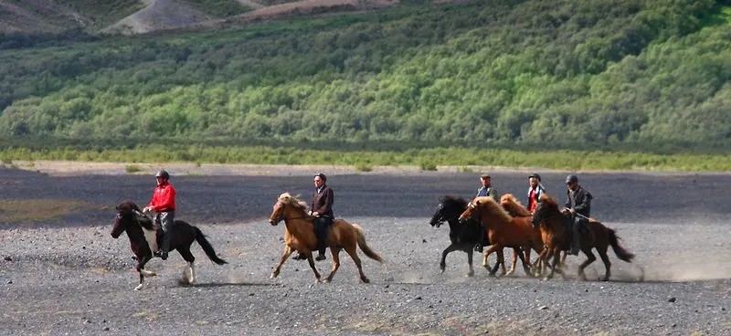 Horseback Riding on Icelandic Horses
