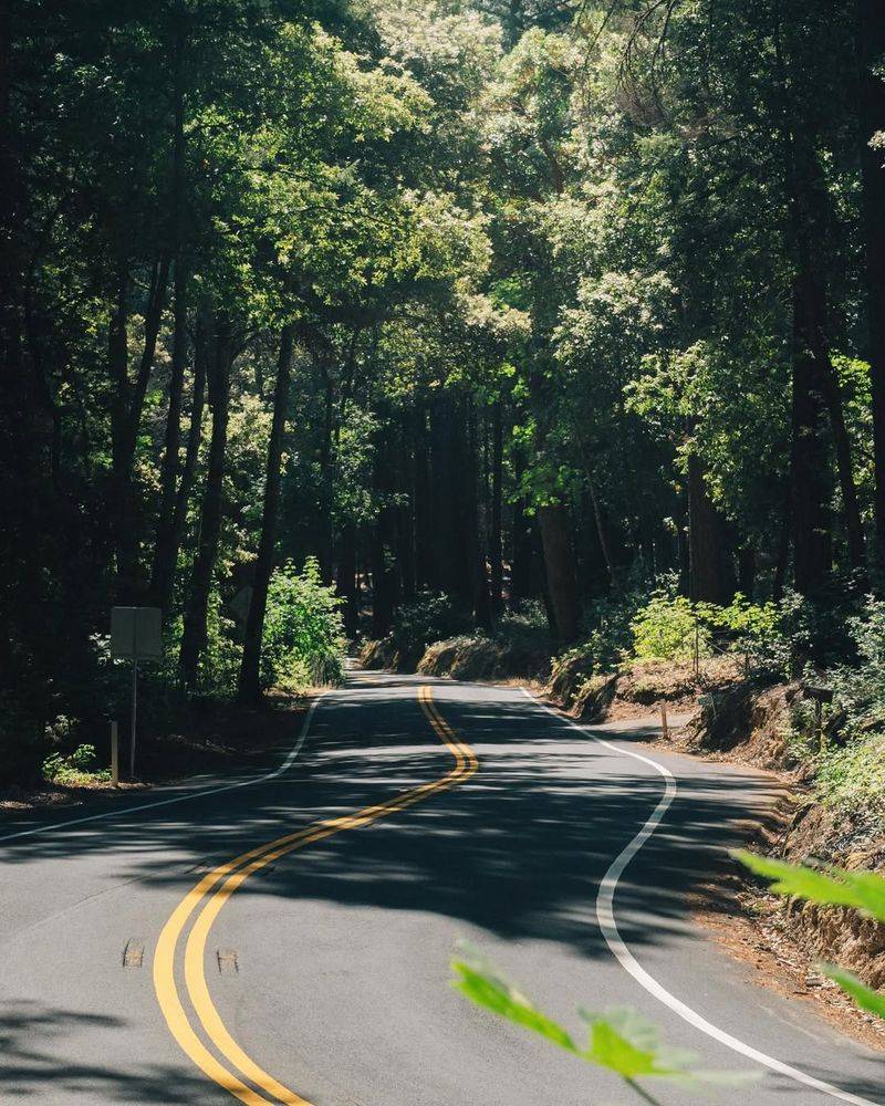 Navigating Paso: Practical Tips
