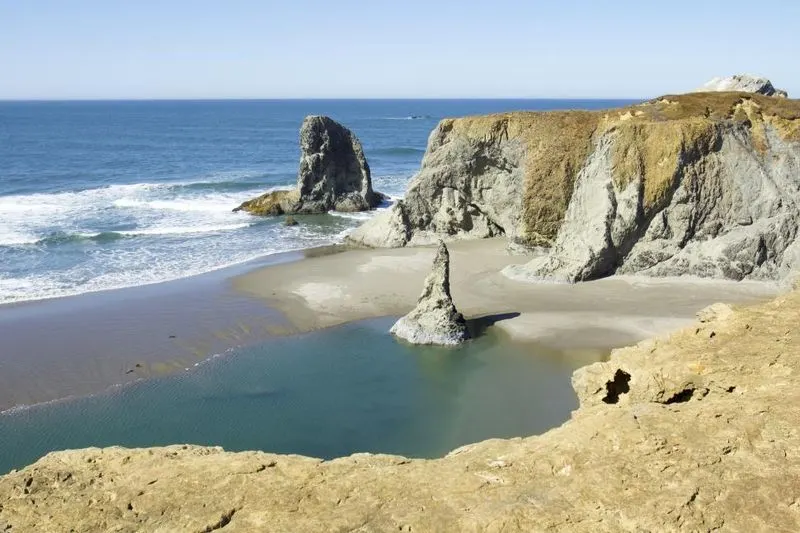 Tidepools & Beachcombing