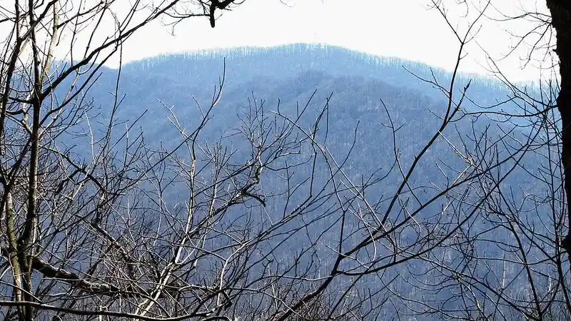 Frozen Head State Park