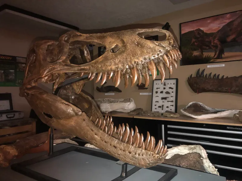Fossil Exhibit Hall