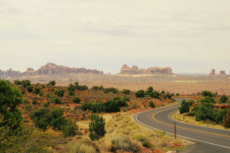 National Park Visits