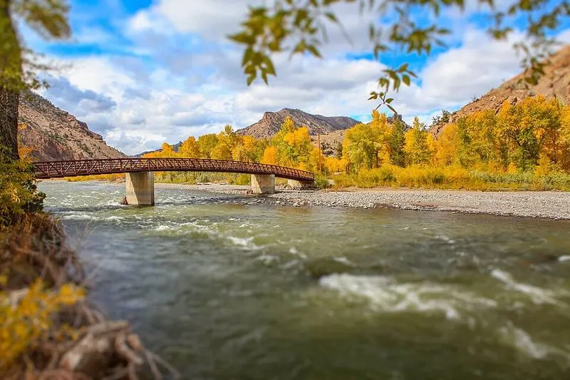 Shoshone National Forest
