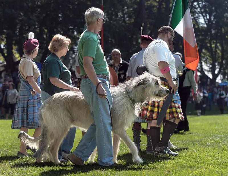 Historic Scottish Influence: From Settlers to Festivals