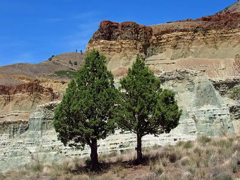 John Day Fossil Beds National Monument (Oregon)