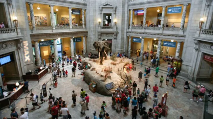 Free Museum Days That Are Actually Worth Planning Around