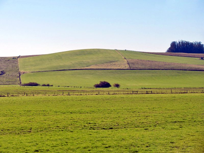 Petaluma