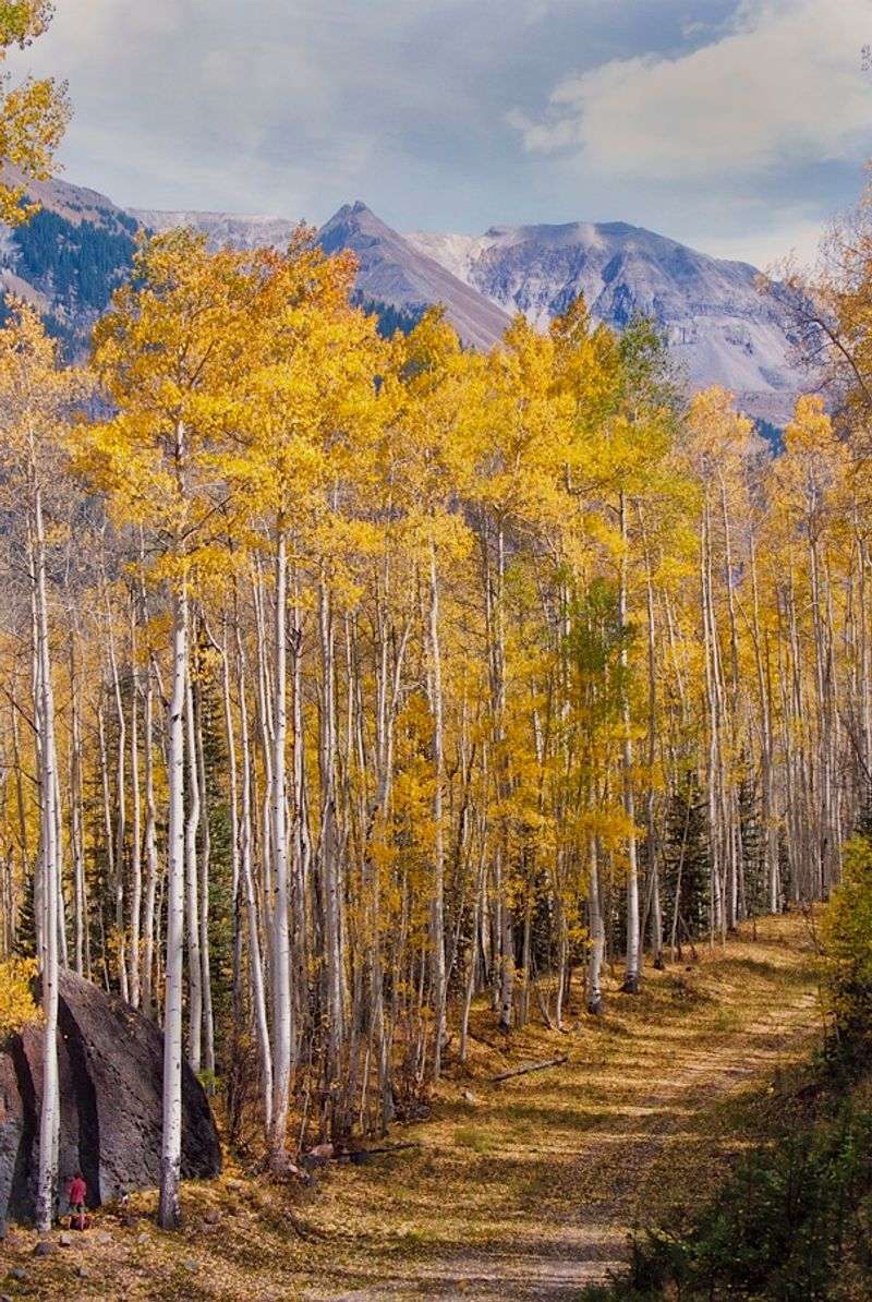 Telluride, Colorado