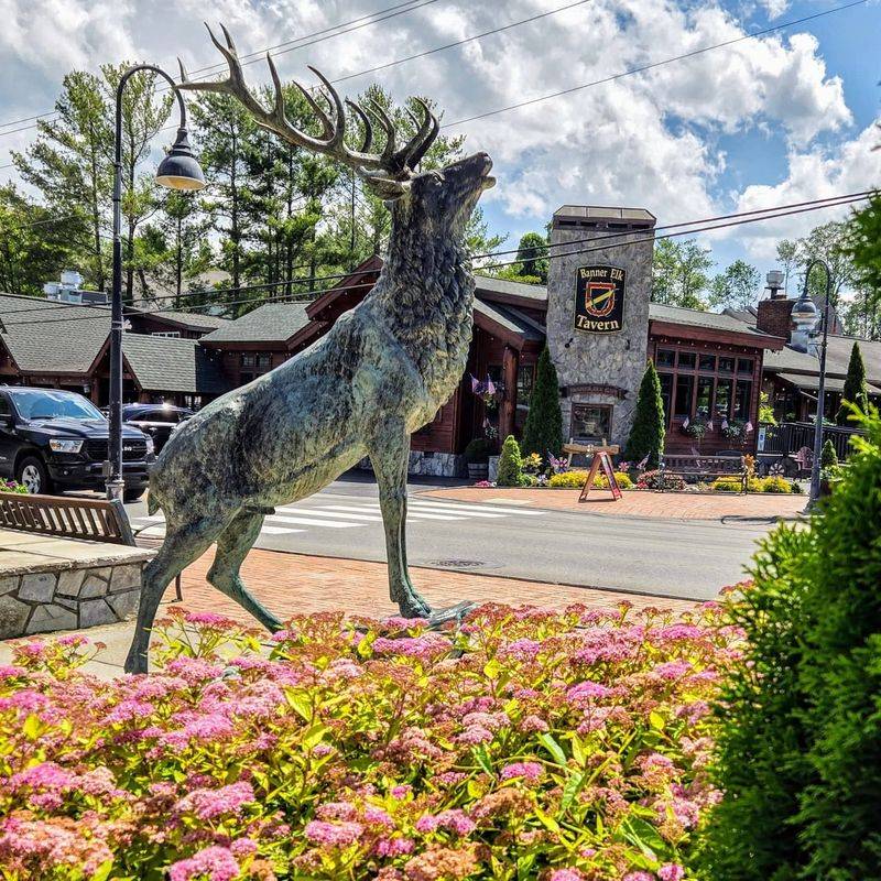 Strolling Downtown Banner Elk