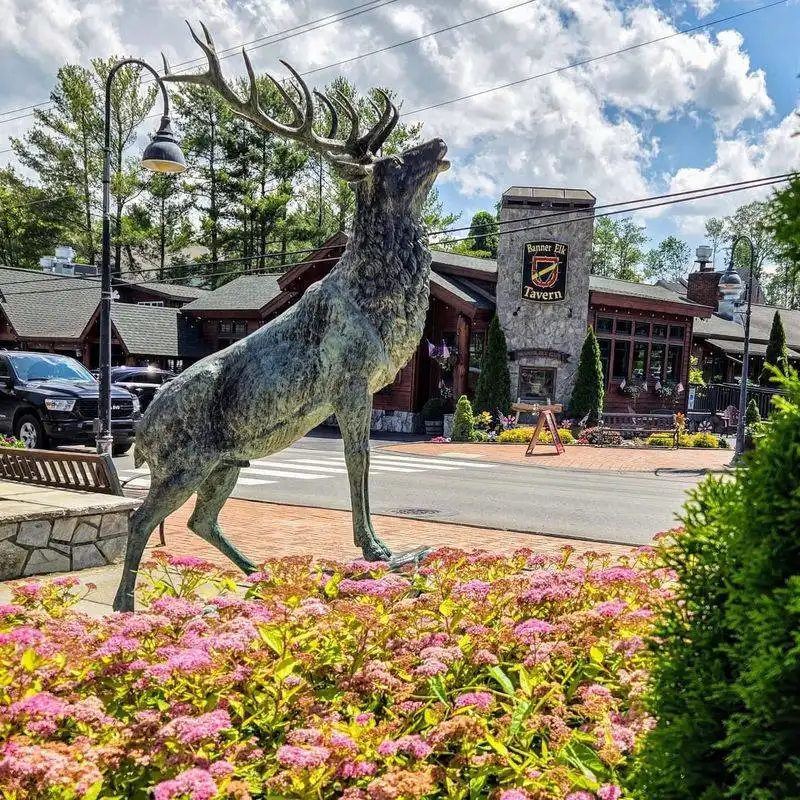 Strolling Downtown Banner Elk