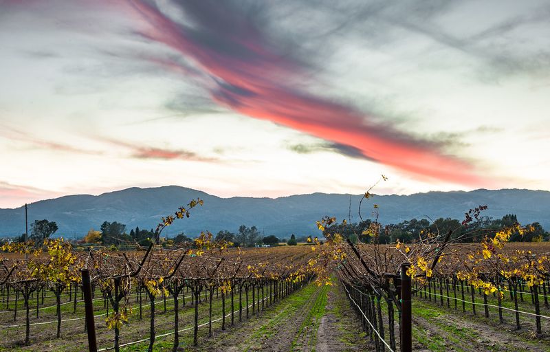 Calistoga (Napa Valley)