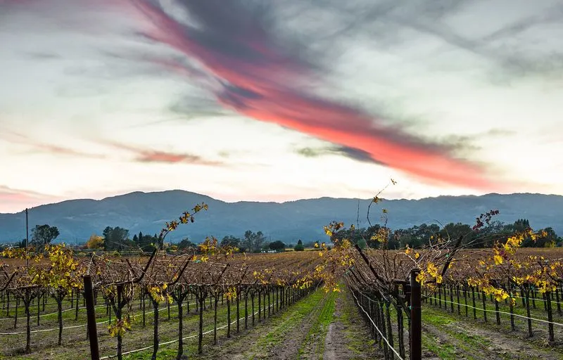 Calistoga (Napa Valley)