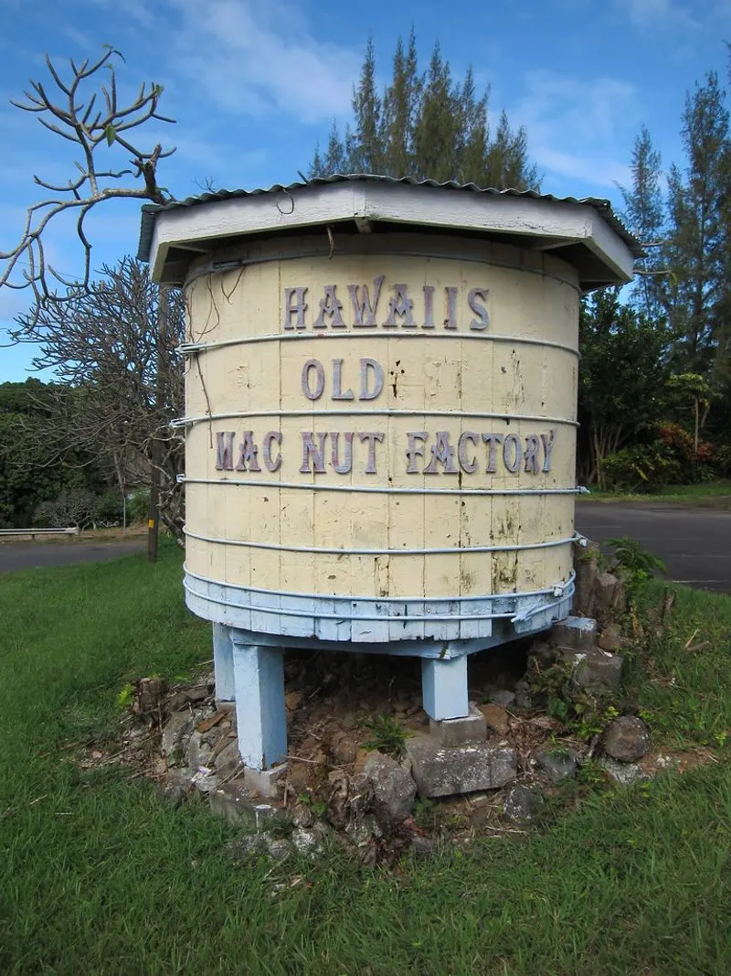 Take a Farm Tour at Hāmākua Macadamia Nut Company