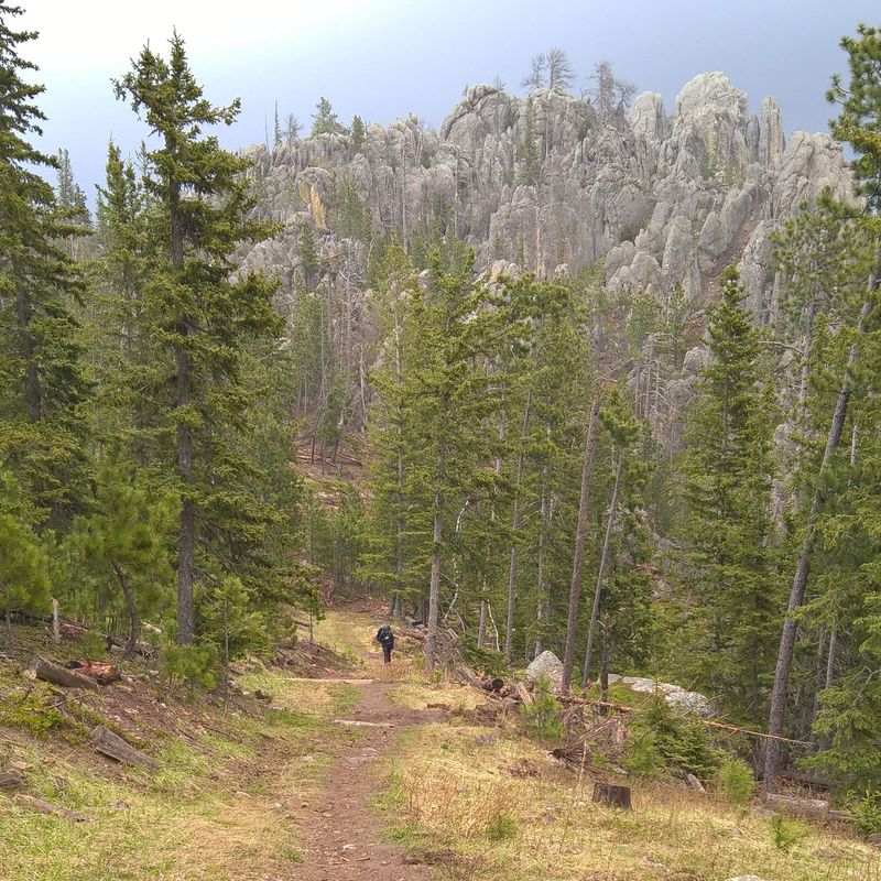 Black Hills, South Dakota