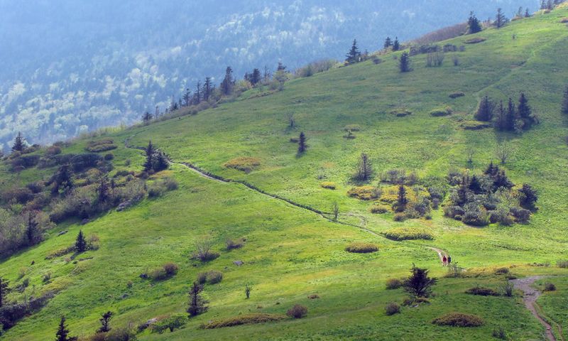 Roan Mountain Ridge (Round Bald / Jane Bald / Grassy Ridge Balds), Tennessee/North Carolina